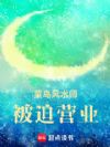菜鸟风水师被迫营业